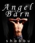 Angel in the Barn by  Shabbu