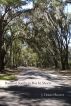 Barefoot Southern Boy In Shortz by J Daniel Reaves