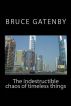 The indestructible chaos of timeless things by Bruce Gatenby