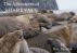 The Adventures of Sharkface, Chapter I, The Elephant Seal and the Great White Shark by Rex Passion