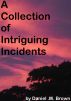 A Collection of Intriguing Incidents by Daniel .M. Brown